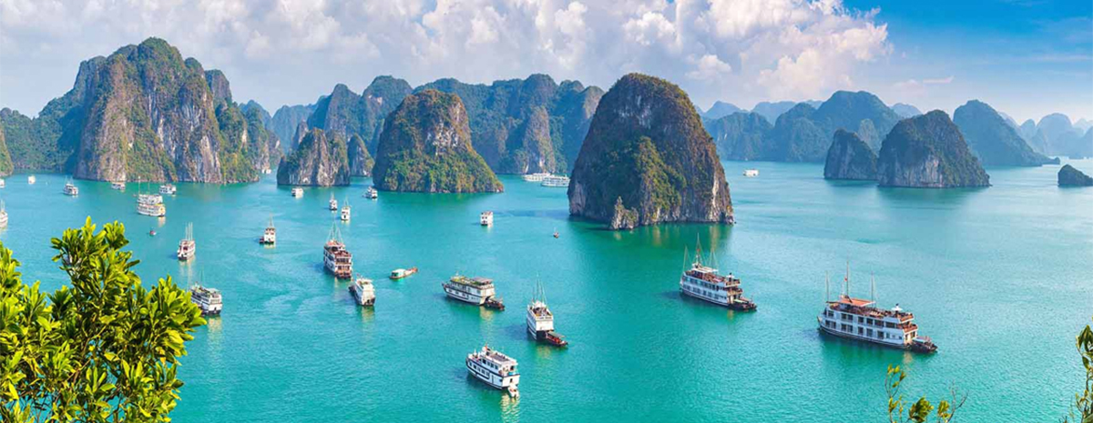 Vietnam cruise and chartered car tour